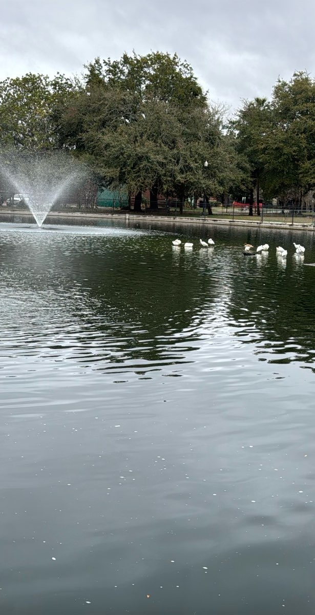 Jacksonville Florida Downtown Scavenger Hunt scavenger hunt photos