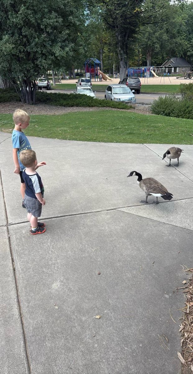 Fort Collins Downtown Scavenger Hunt scavenger hunt photos