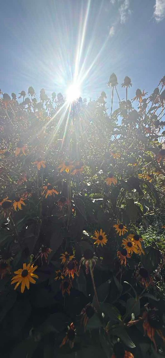 Saint Louis Scavenger Hunt scavenger hunt photos