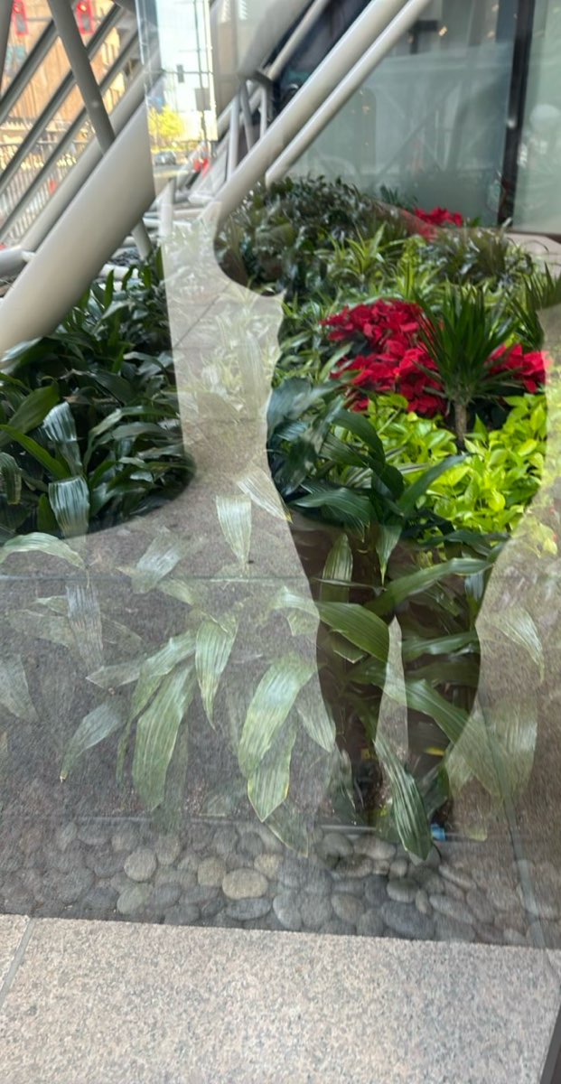 Fotos de la b&uacute;squeda del tesoro del Cuarto Distrito