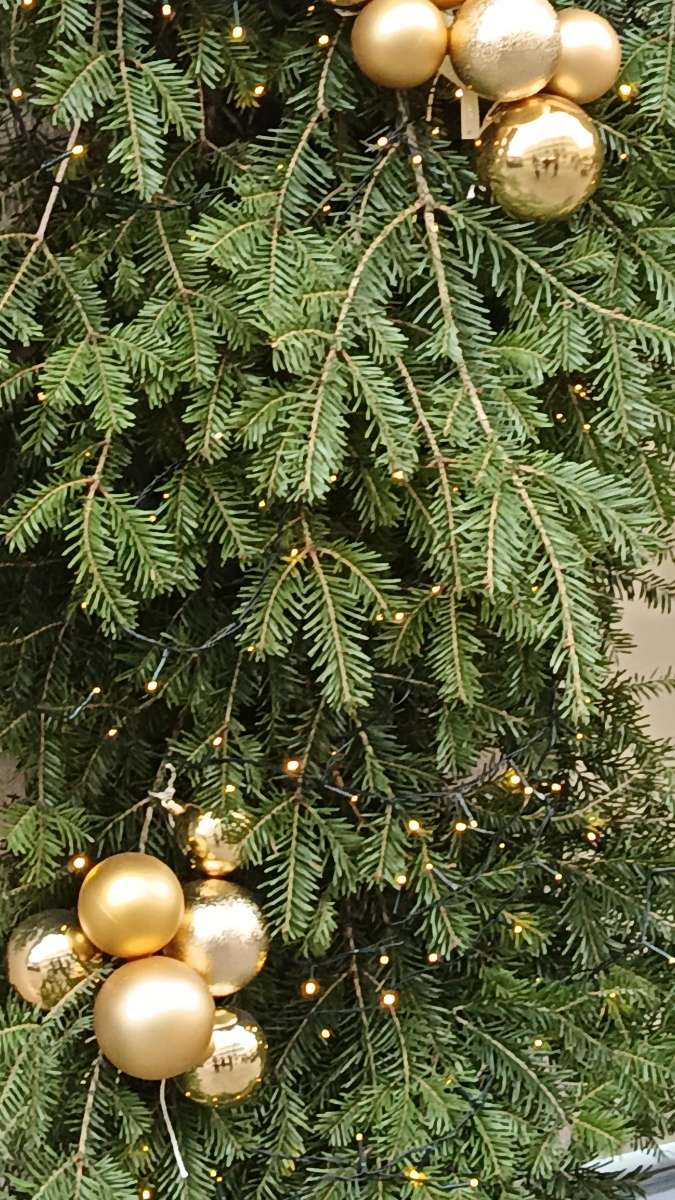 Oradea Scavenger Hunt scavenger hunt photos