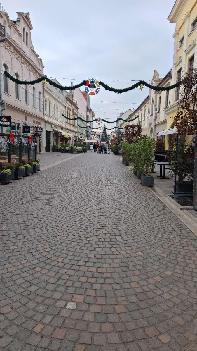 Oradea Scavenger Hunt scavenger hunt photos