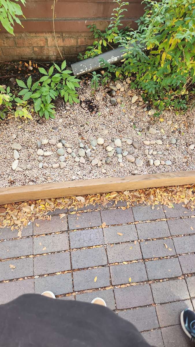 Johns Hopkins University Scavenger Hunt scavenger hunt photos