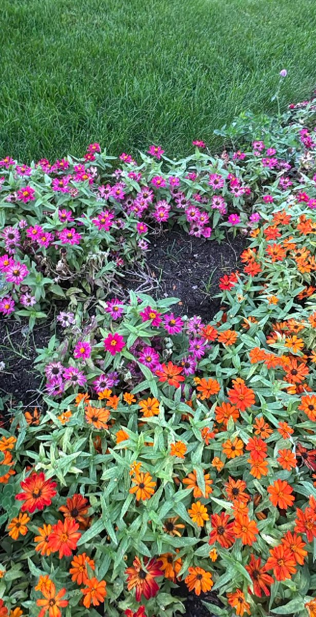 Fort Wayne Scavenger Hunt scavenger hunt photos