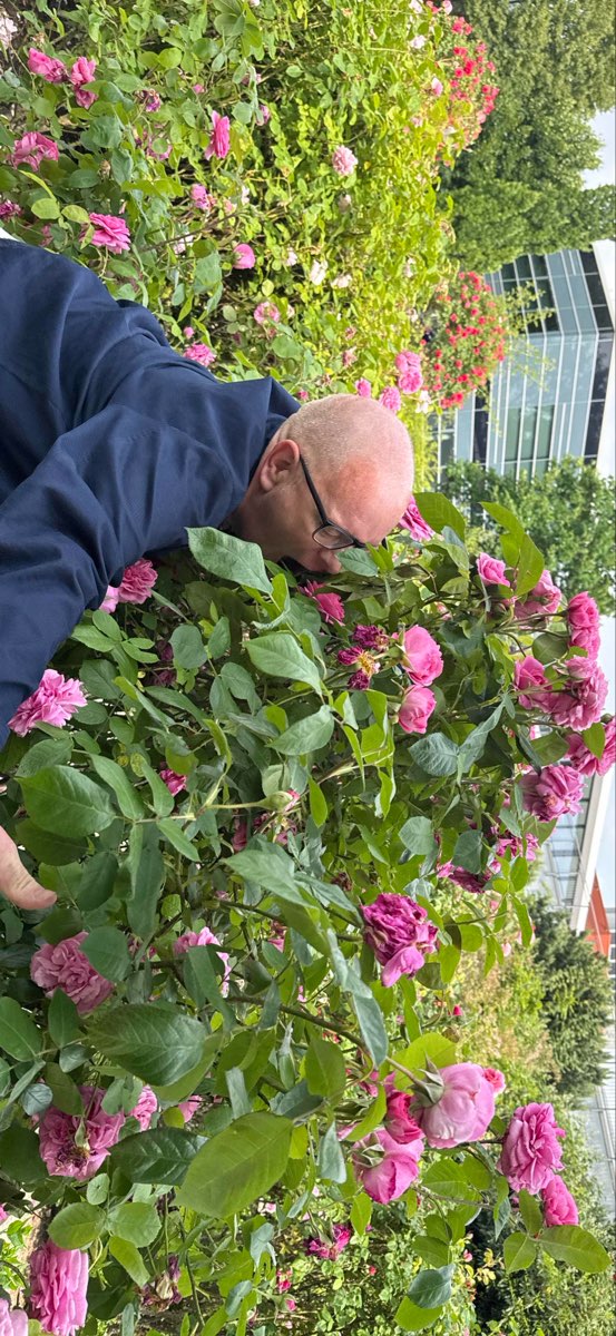 Hamburg Scavenger Hunt scavenger hunt photos