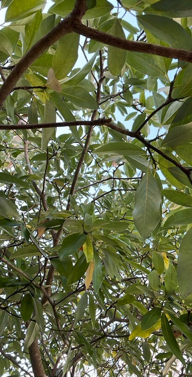 チームビルディング宝探しゲーム