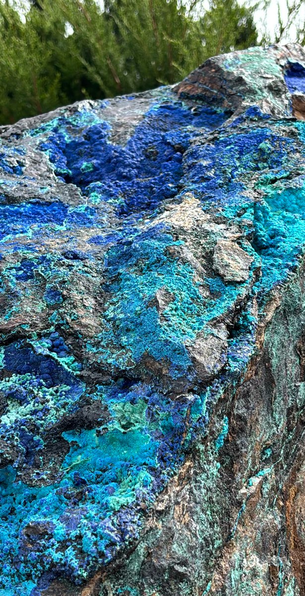 Jerome Ghost Tour scavenger hunt photos