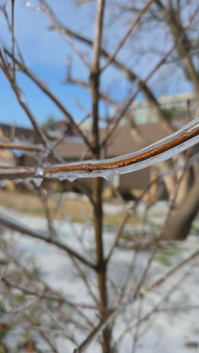Vanderbilt University Scavenger Hunt scavenger hunt photos