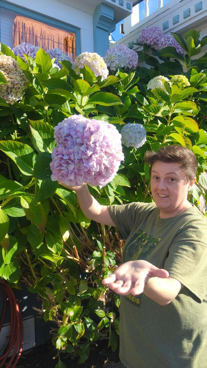 하프 문 베이 스캐빈저 헌트 사진