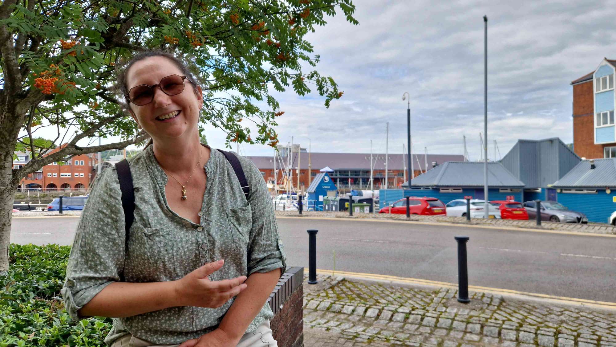 Fotografii V&acirc;n&abreve;toare de Comori Swansea