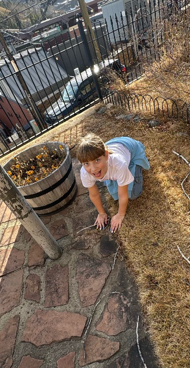 セントラルシティ スカベンジャーハント スカベンジャーハント写真