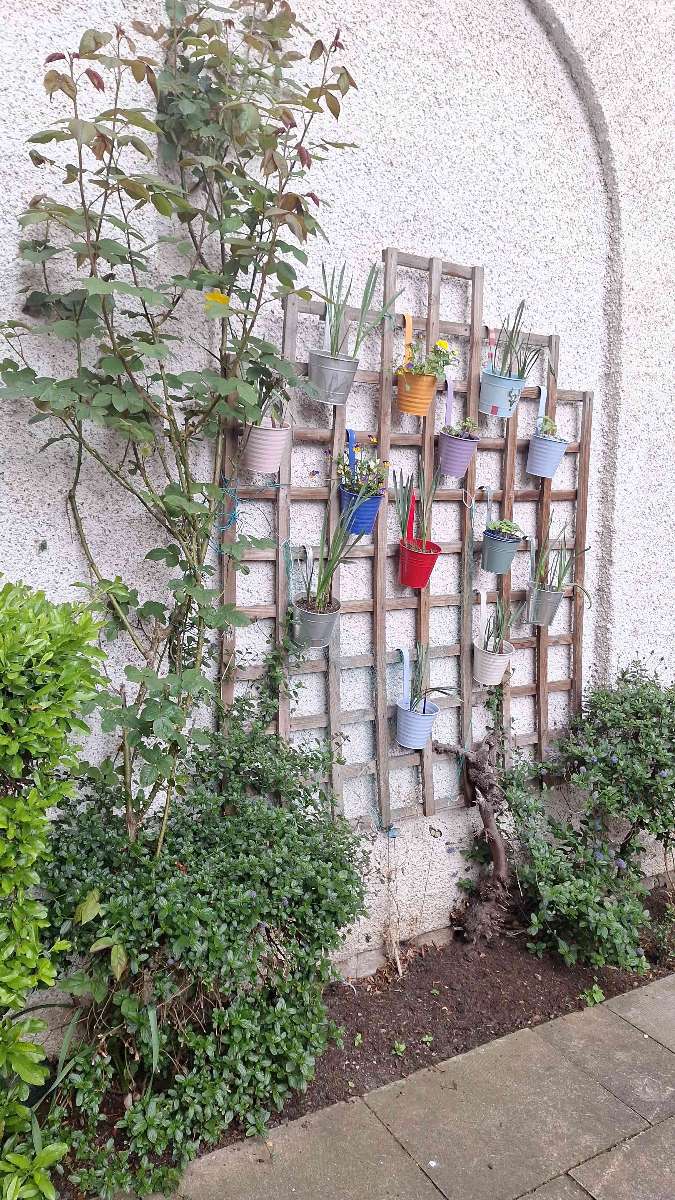 Edinburgh Scavenger Hunt scavenger hunt photos