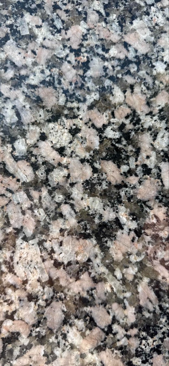 Dixon Scavenger Hunt scavenger hunt photos