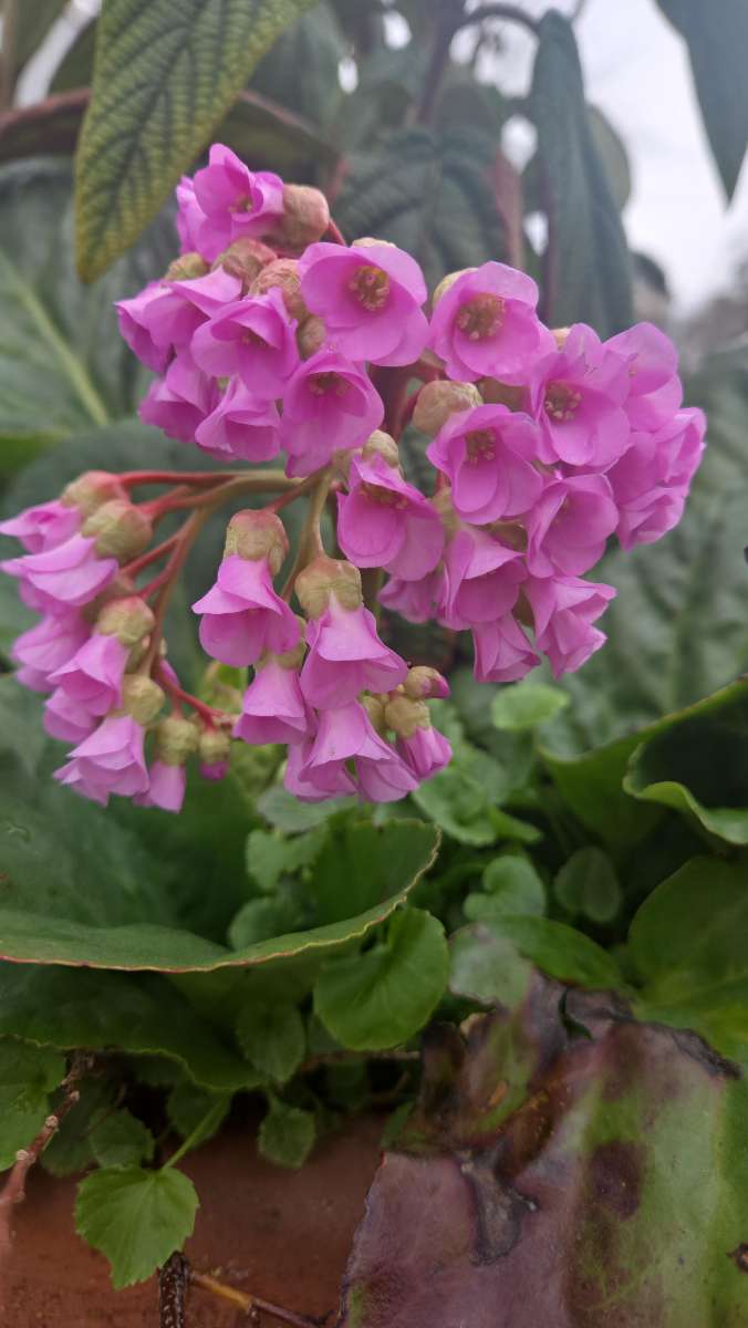 팀 빌딩 스캐빈저 헌트