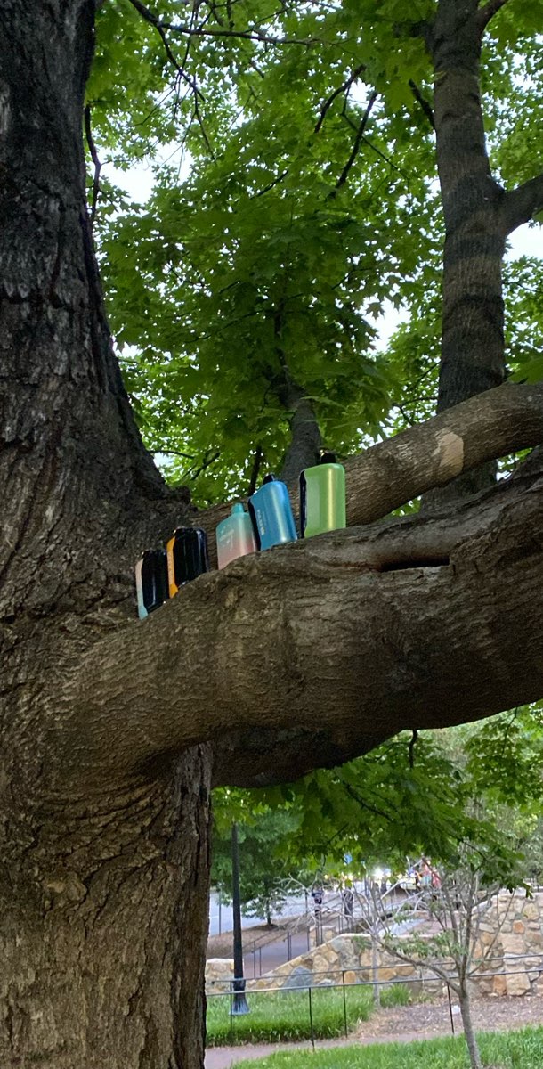 Φωτογραφίες Κυνηγιού Θησαυρού Πανεπιστημίου της Βόρειας Καρολίνας--Τσάπελ Χιλ