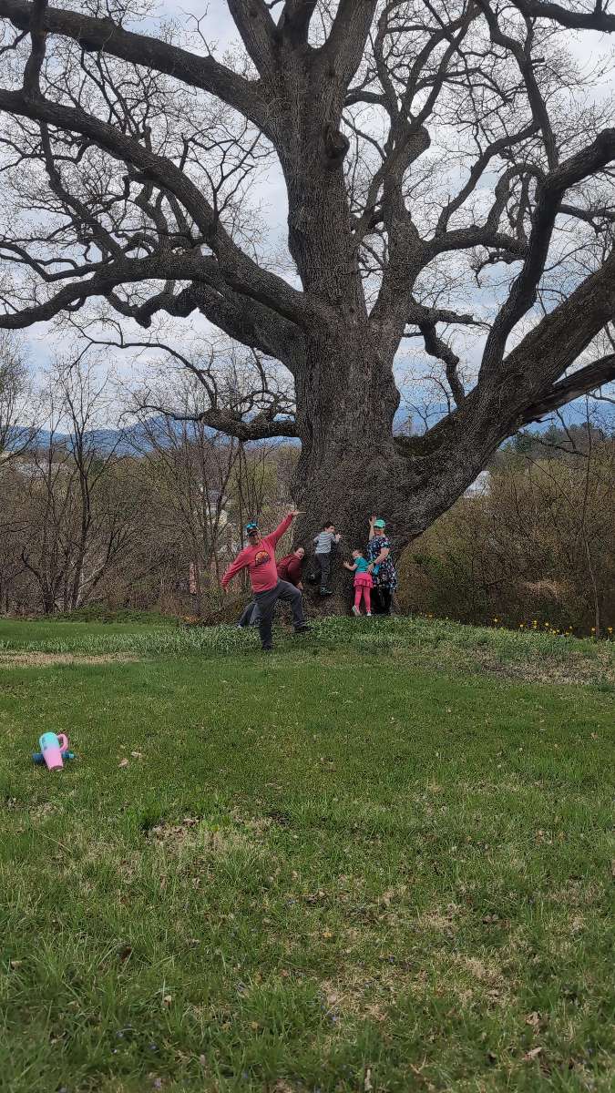 Fotos de la búsqueda del tesoro de Luray