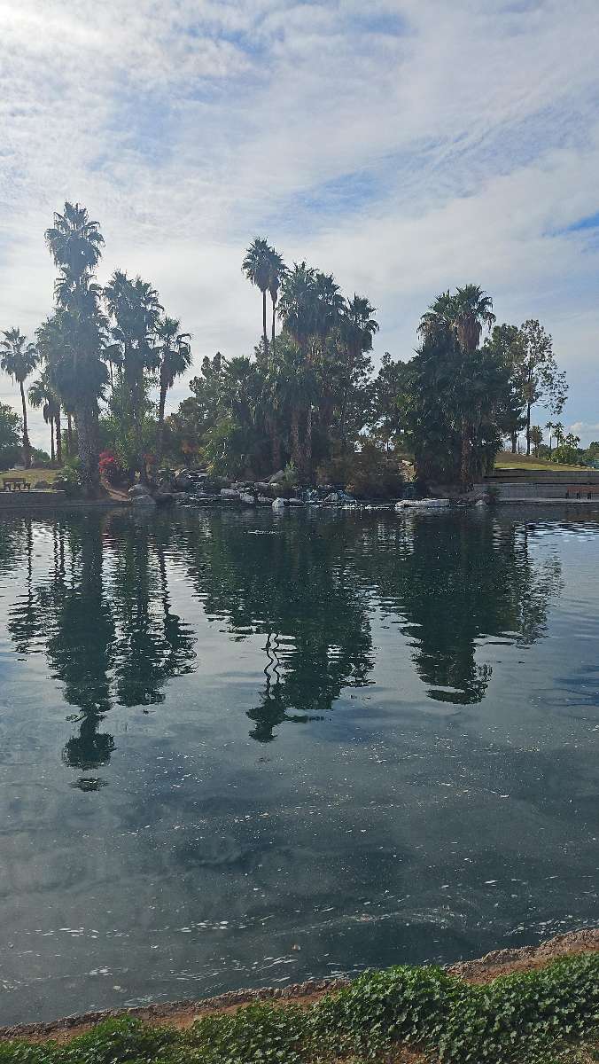 Gilbert Downtown Scavenger Hunt scavenger hunt photos