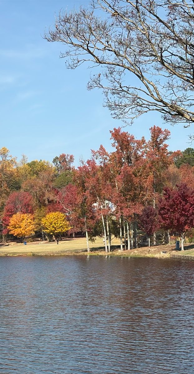 Greenville South Carolina Downtown Scavenger Hunt scavenger hunt photos