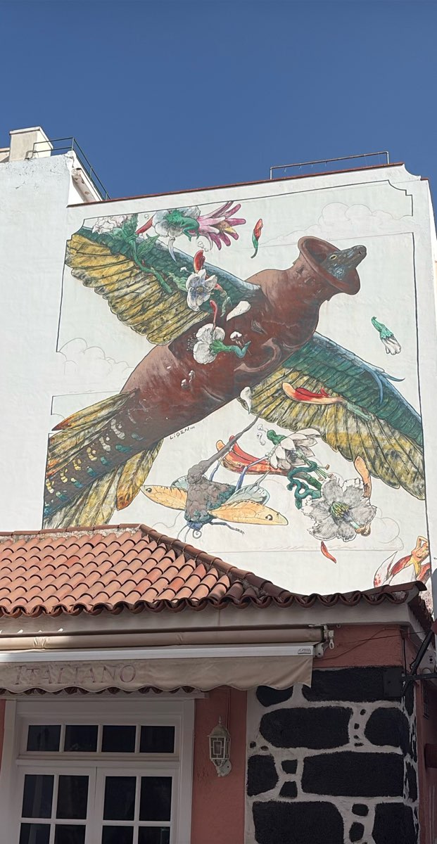 Foto's van de Puerto de la Cruz Scavenger Hunt speurtocht