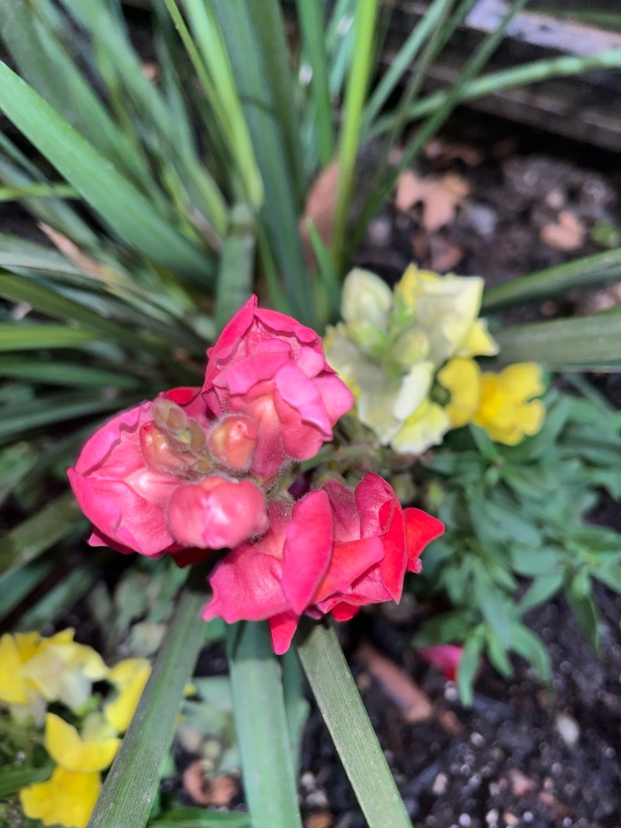 Sacramento Downtown Scavenger Hunt scavenger hunt photos