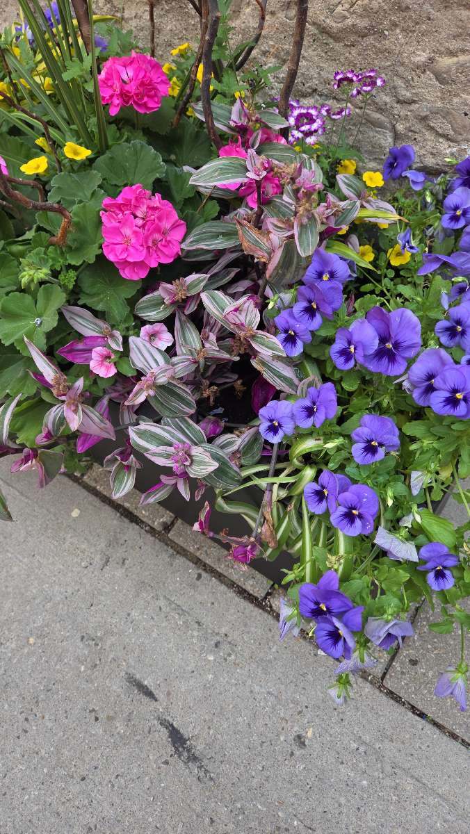 Cambridge Ontario Downtown Scavenger Hunt scavenger hunt photos