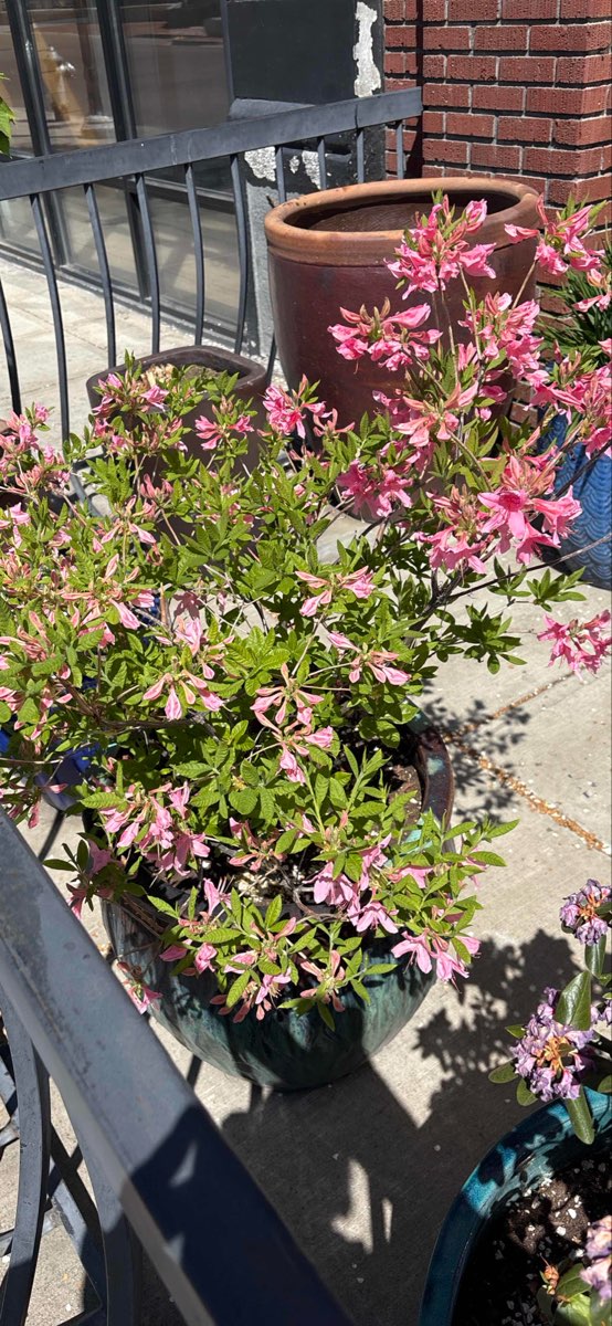 Yakima Scavenger Hunt scavenger hunt photos