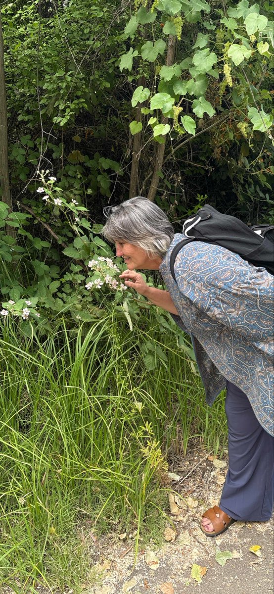 Redding Scavenger Hunt hazine av&inodot; foto&gbreve;raflar&inodot;