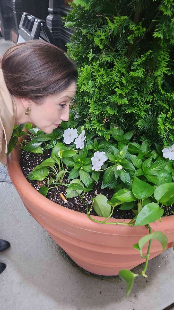 Hartford Connecticut Scavenger Hunt scavenger hunt photos