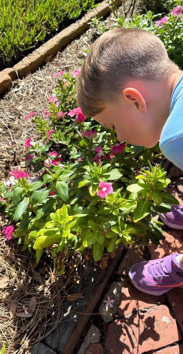 Charleston South Carolina Scavenger Hunt - foton från stadens skattjakt