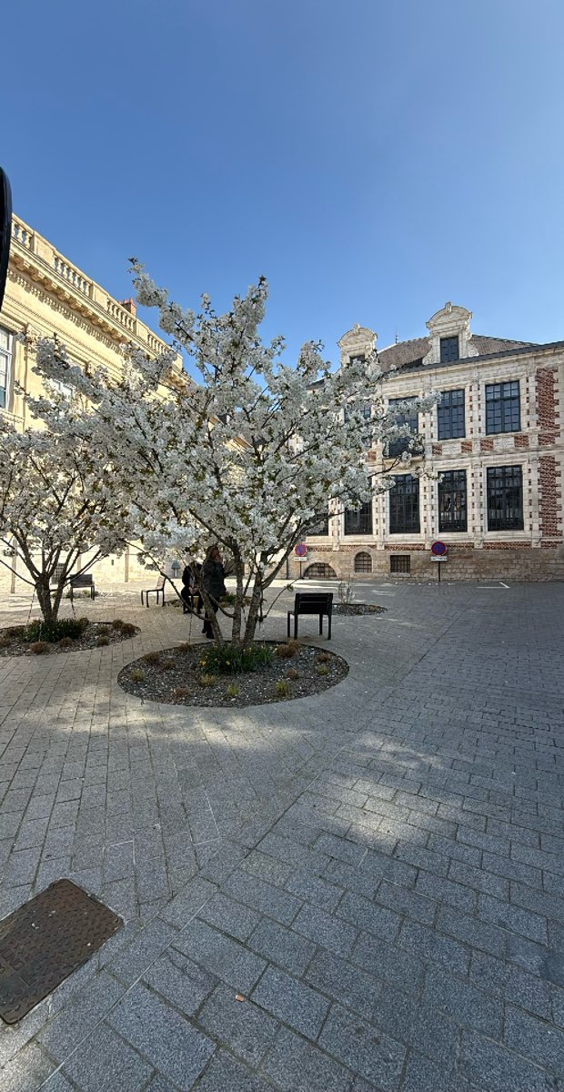 Arras Scavenger Hunt &lpar;kincskeres&odblac; t&uacute;ra&rpar; fot&oacute;i