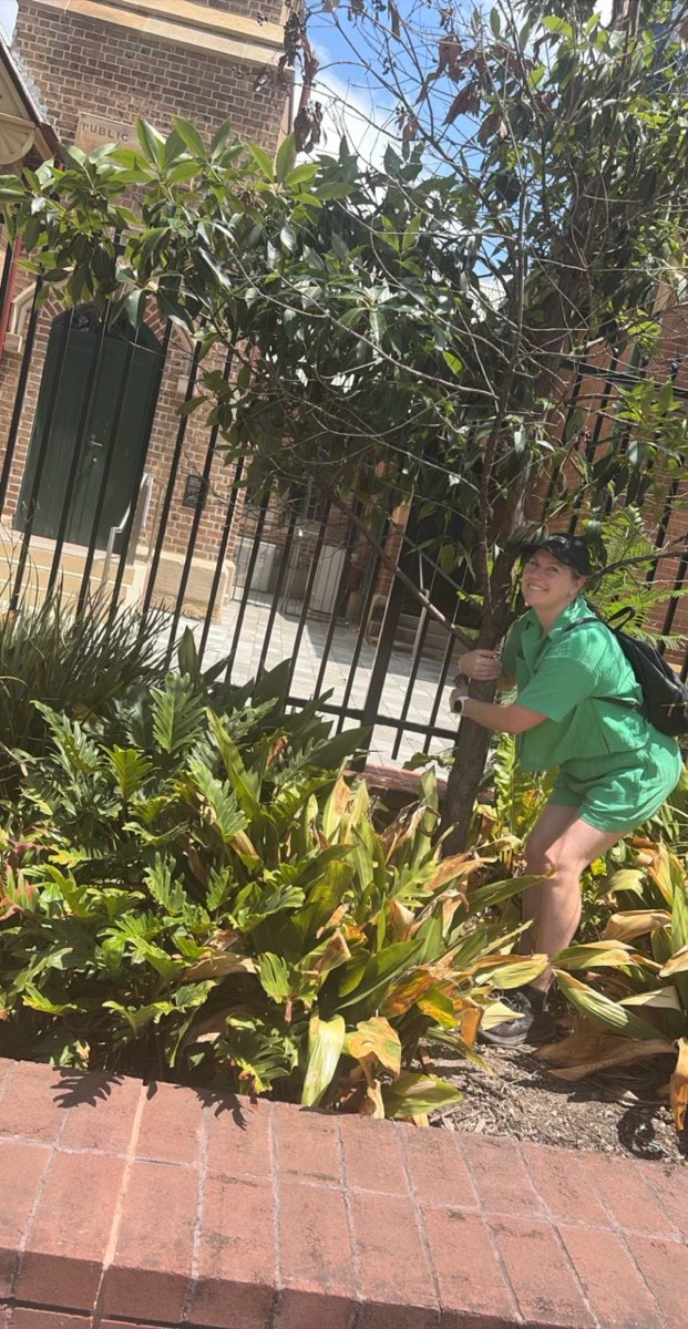 Fotos da ca&ccedil;a ao tesouro em Parramatta