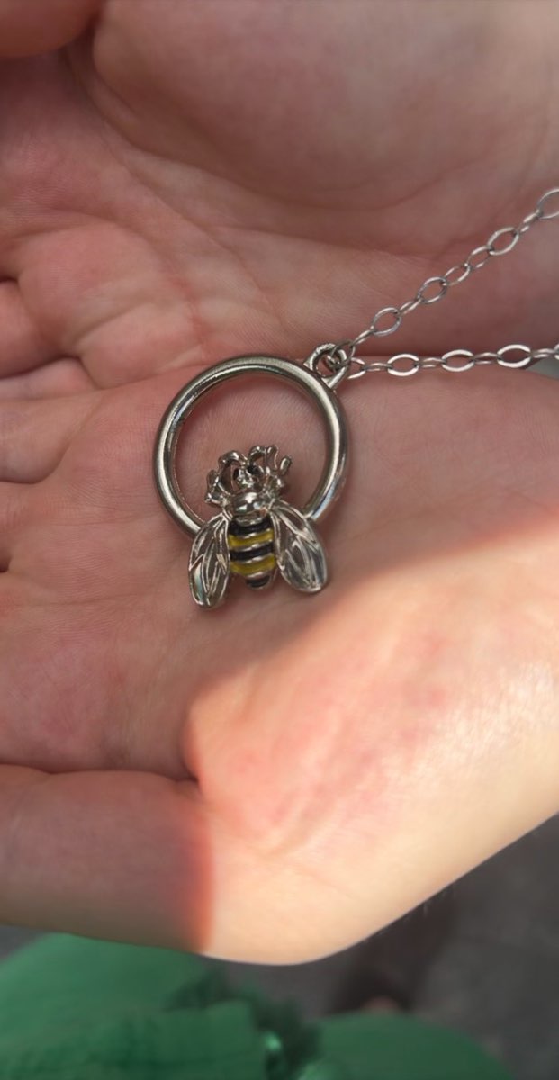 Fotos da ca&ccedil;a ao tesouro em Parramatta