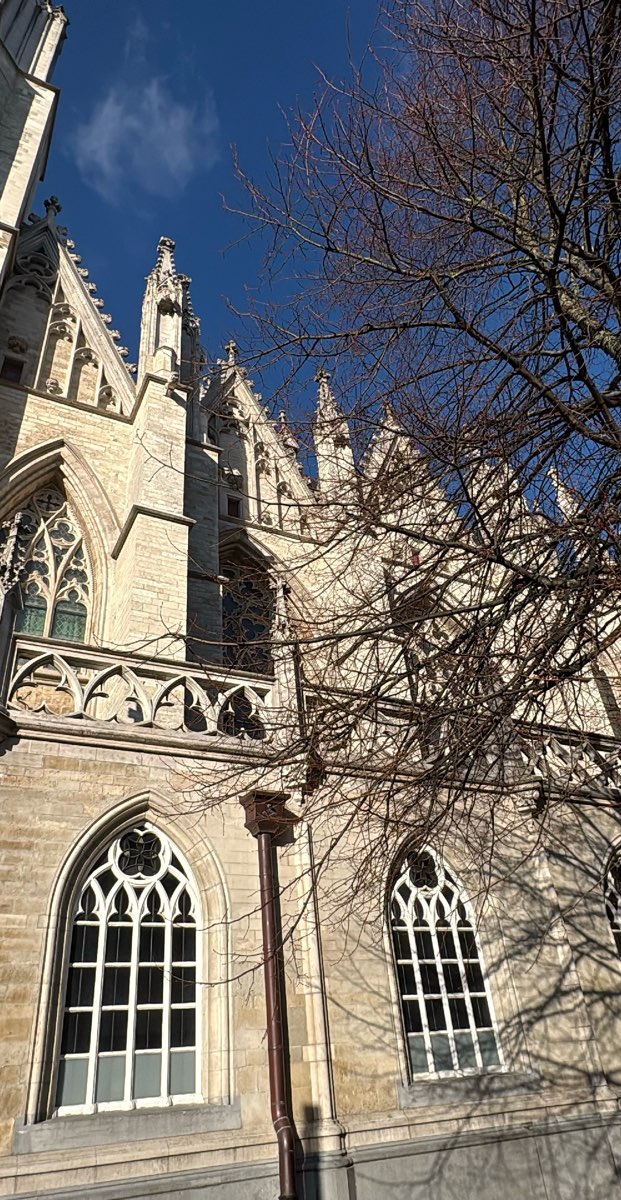 Mechelen Scavenger Hunt scavenger hunt photos