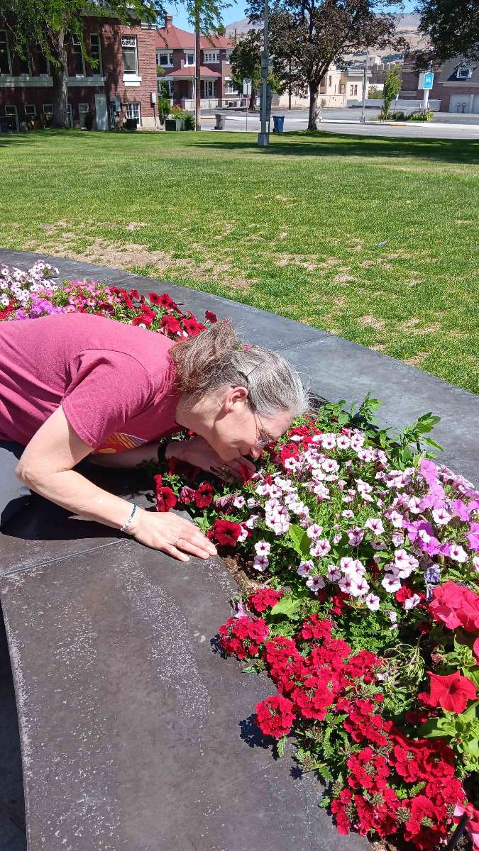 Φωτογραφίες κυνηγιού θησαυρού στο Wenatchee