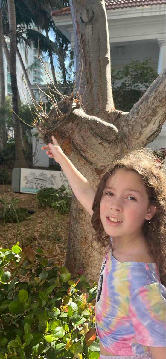 Miami Florida Art Walk scavenger hunt photos