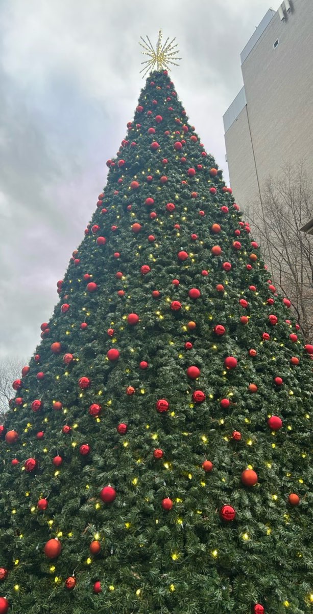 Knoxville Bar Crawl scavenger hunt photos