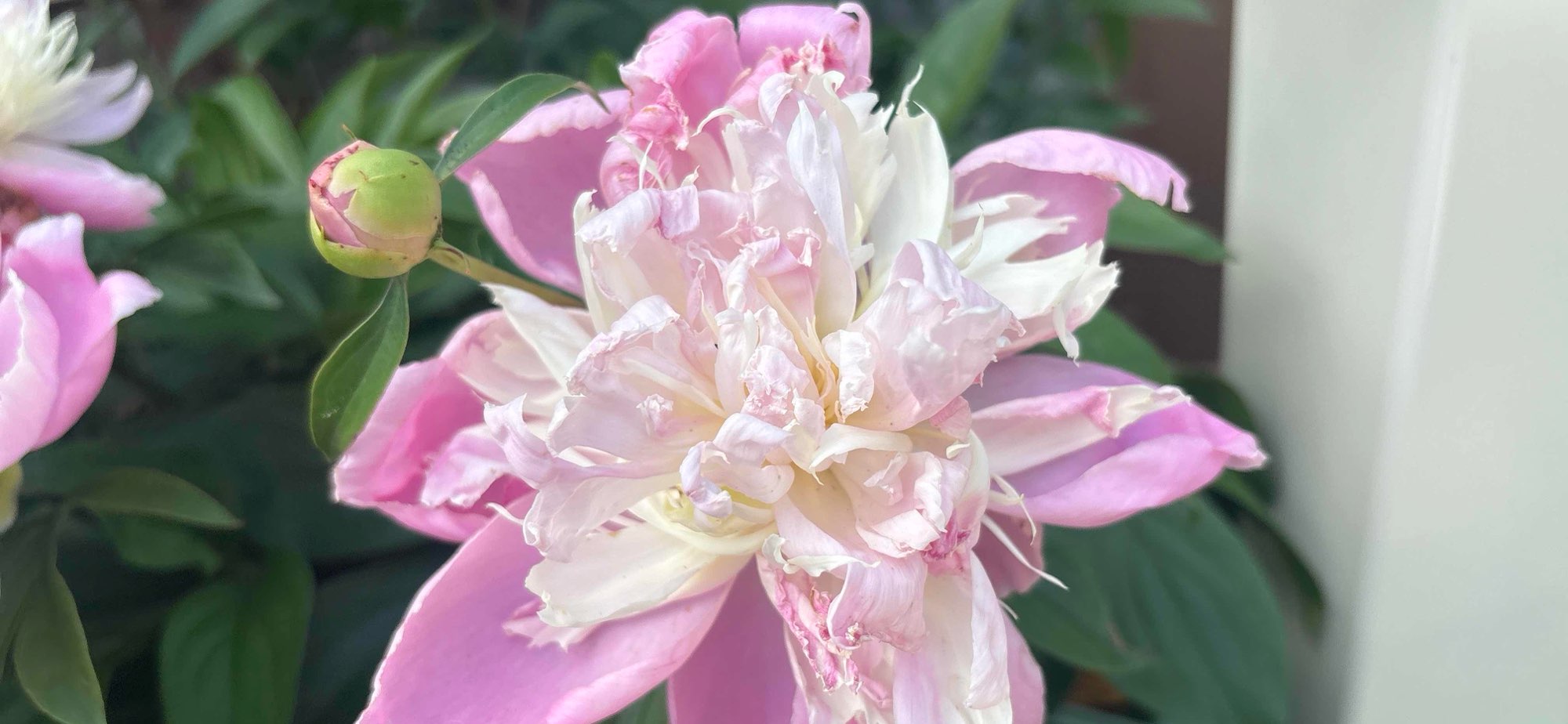 허쉬 고스트 투어 스캐빈저 헌트 사진