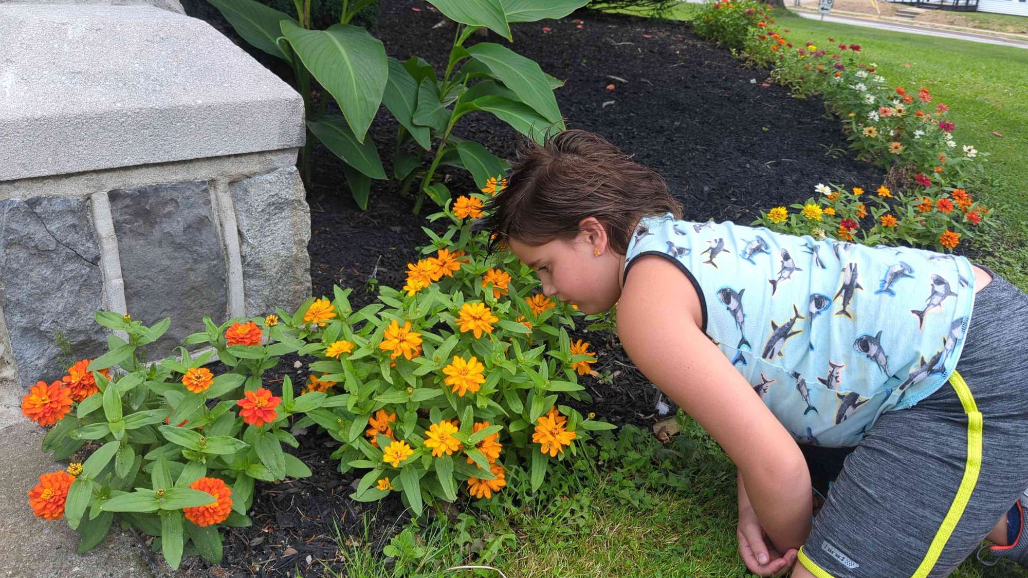 East Aurora Scavenger Hunt scavenger hunt photos