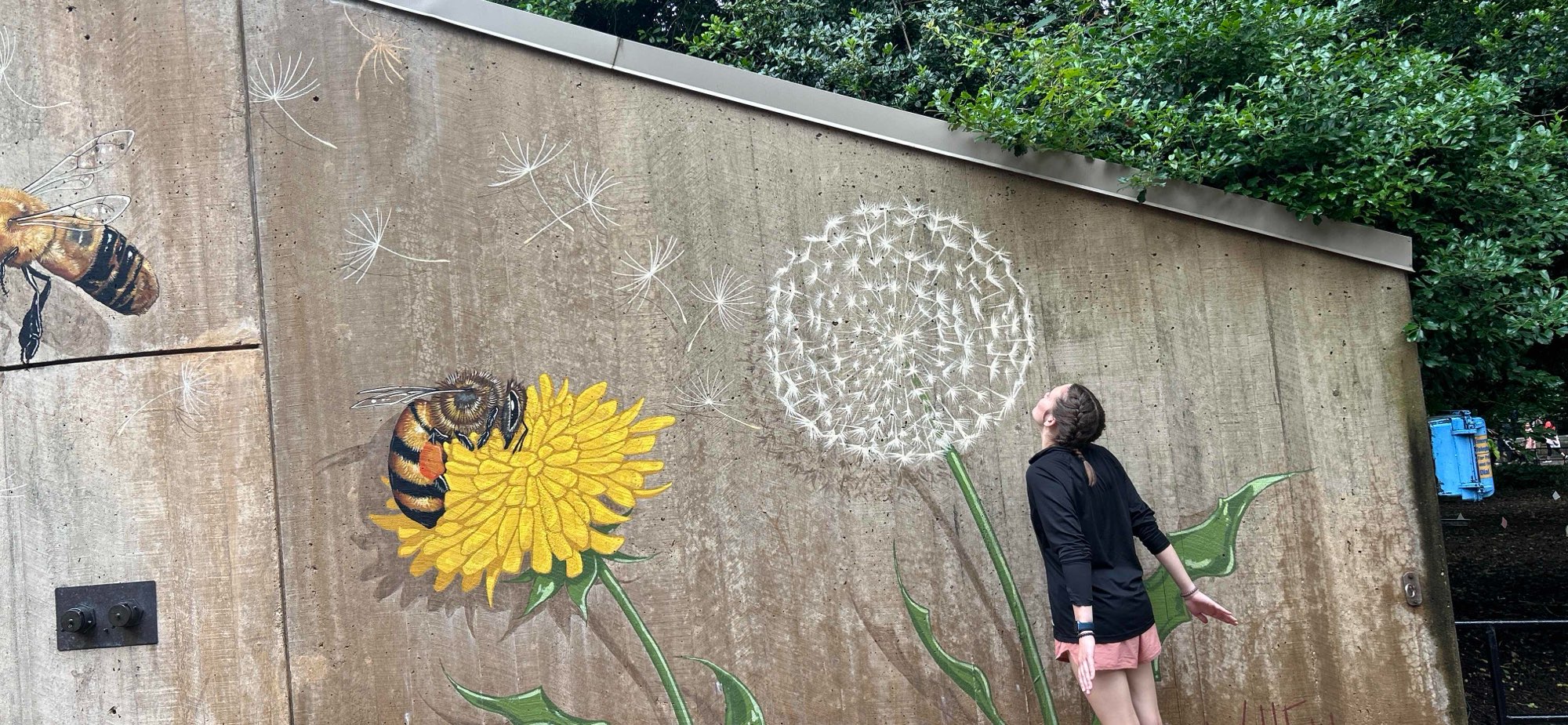 워싱턴 D.C. 다운타운 스캐빈저 헌트 스캐빈저 헌트 사진