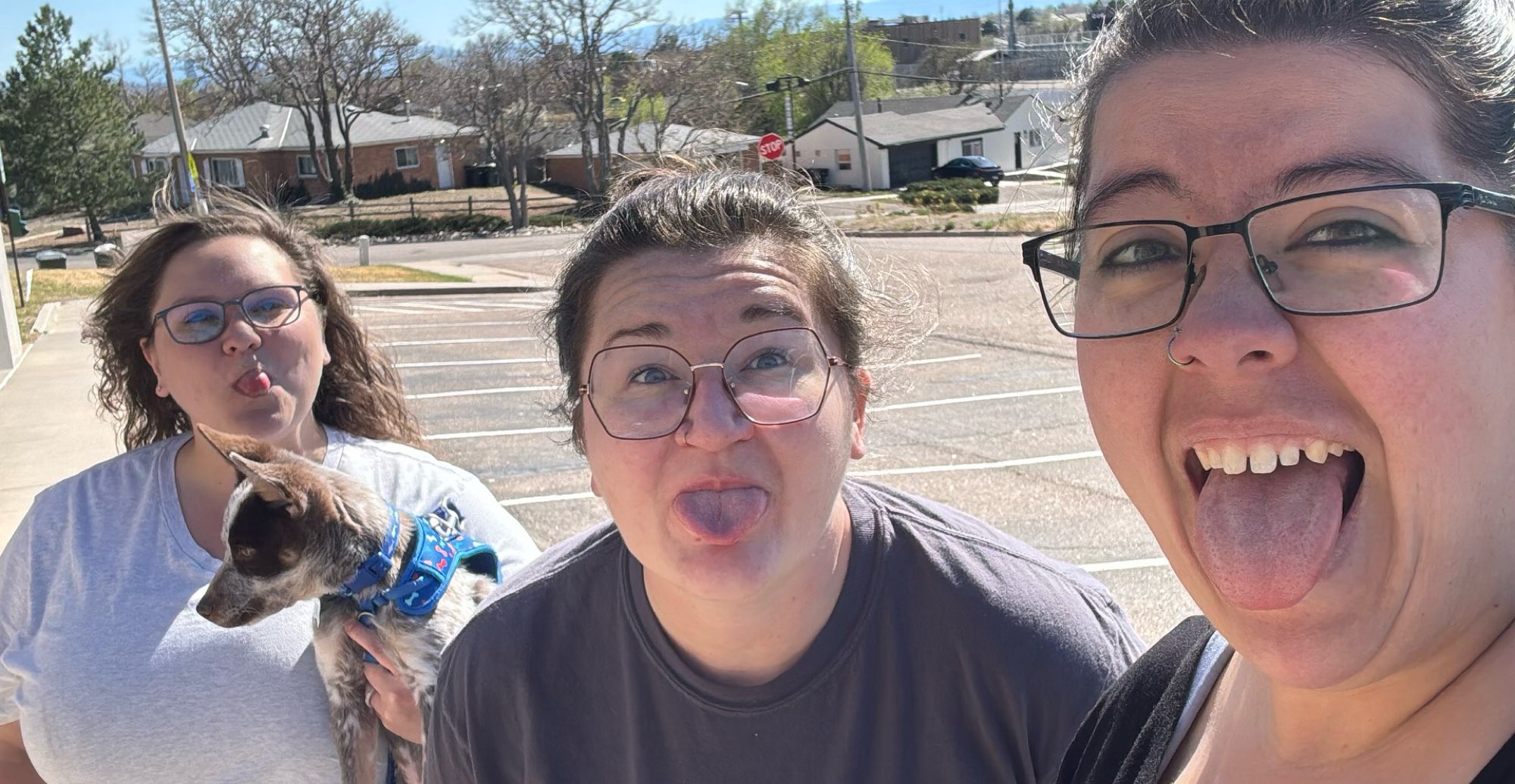 Bilder fra skattejakt i Thornton