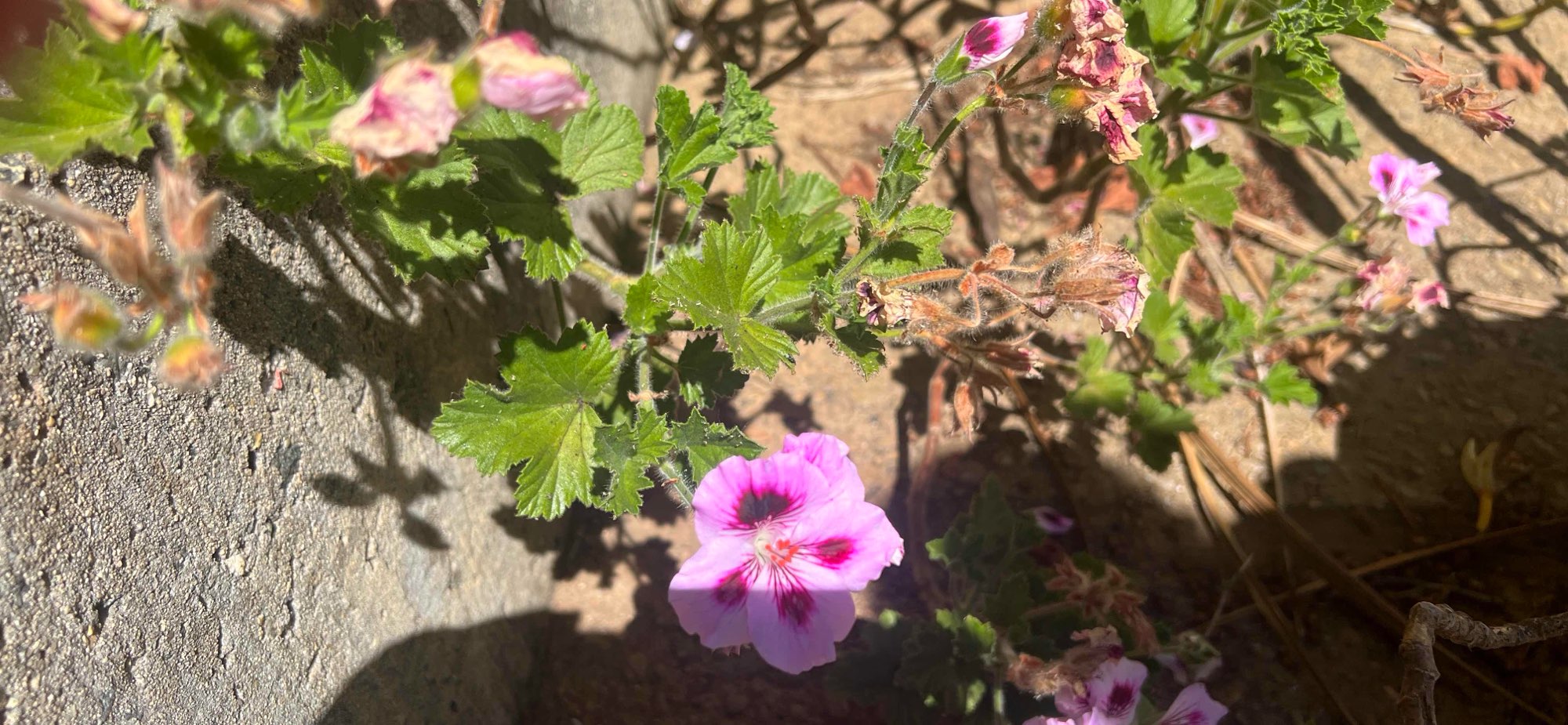 海滨步道寻宝活动照片