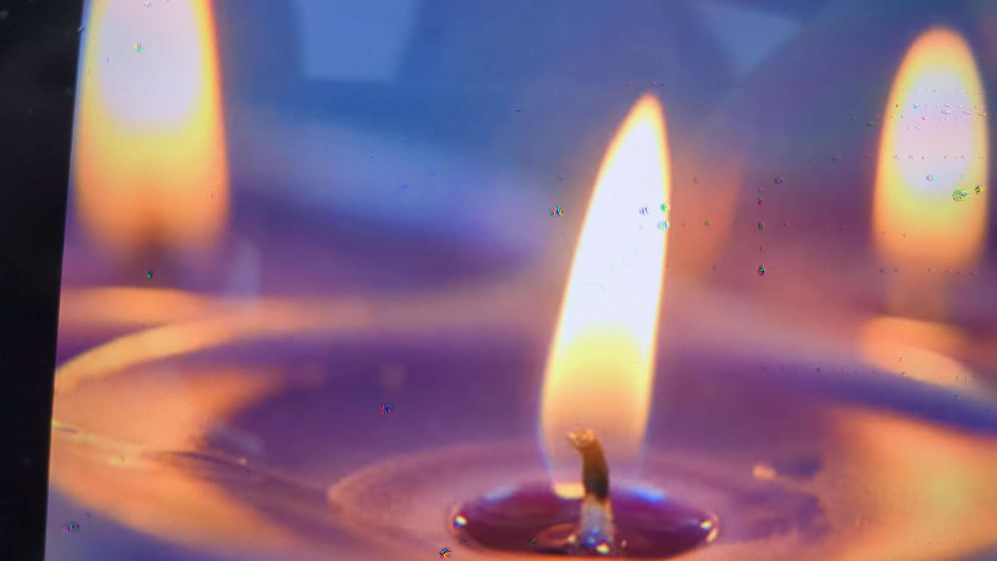 Mercer Island Scavenger Hunt scavenger hunt photos