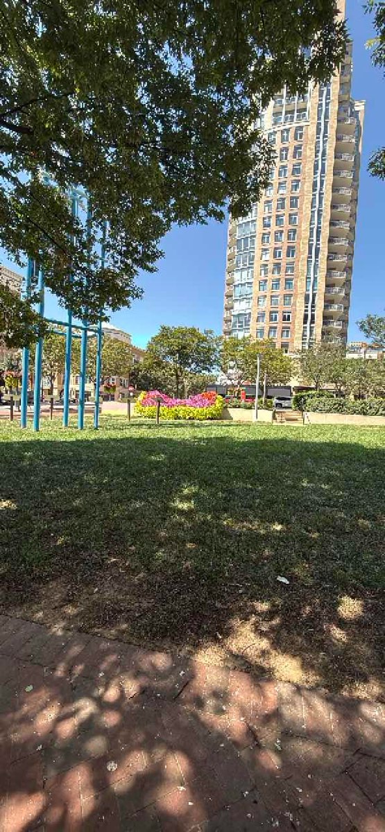 v&acirc;n&abreve;toare de comori pentru team building