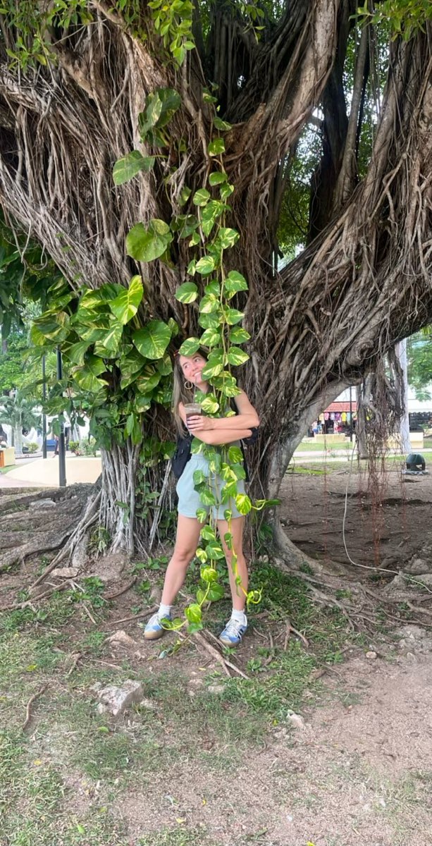 Foto della Caccia al Tesoro di San Miguel de Cozumel