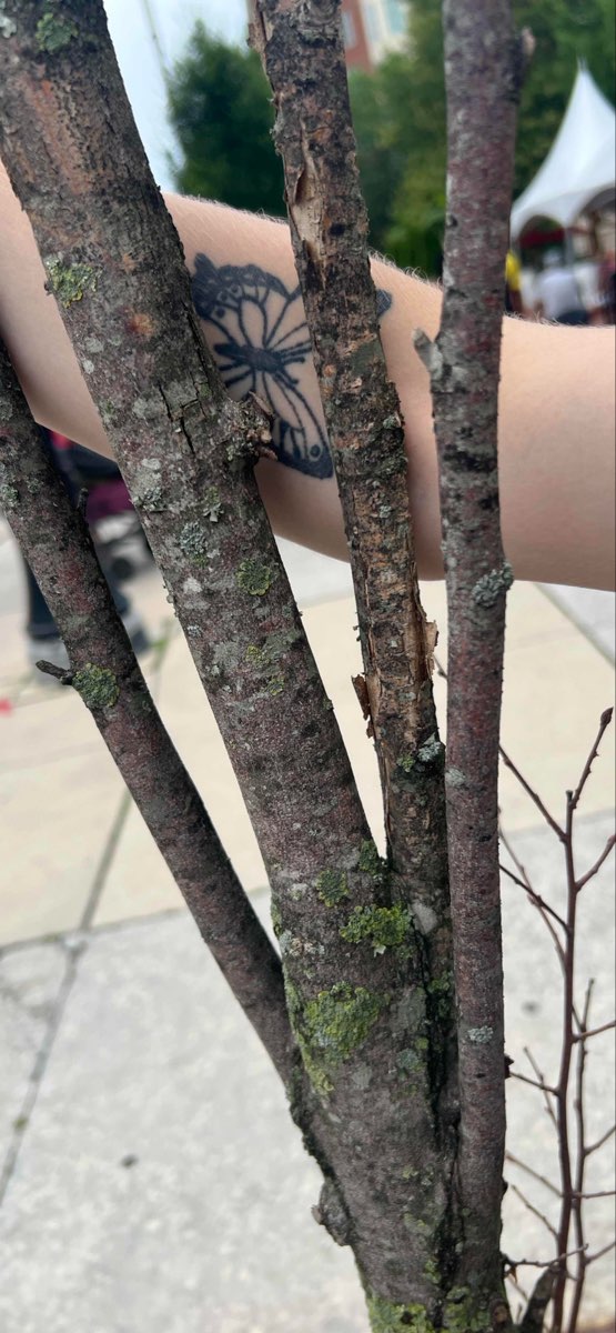 team building scavenger hunt