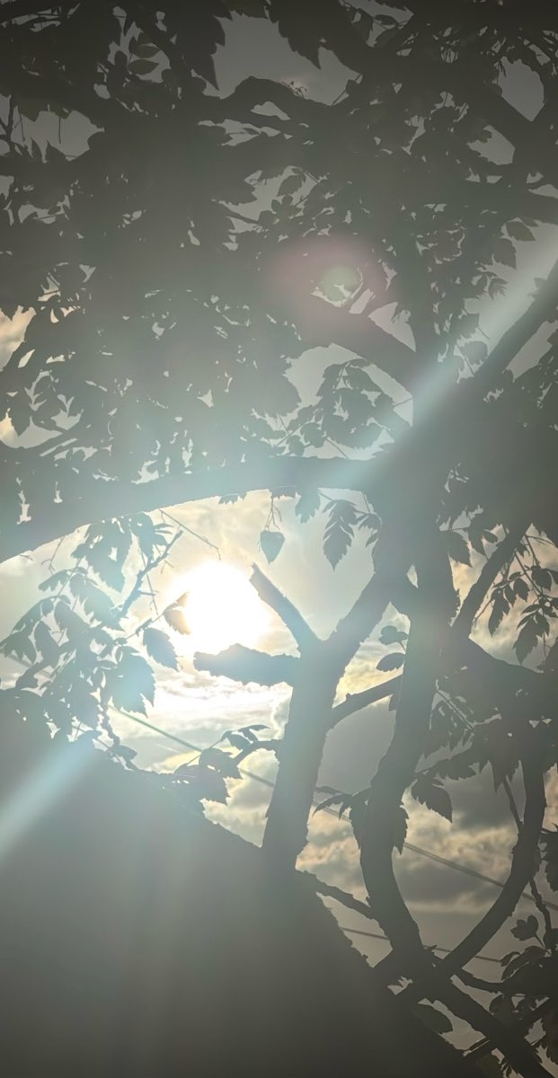 team building scavenger hunt