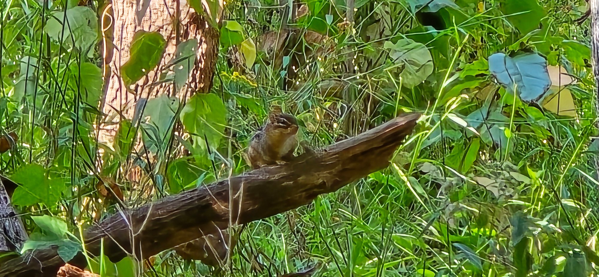 Team-Building-Schnitzeljagd