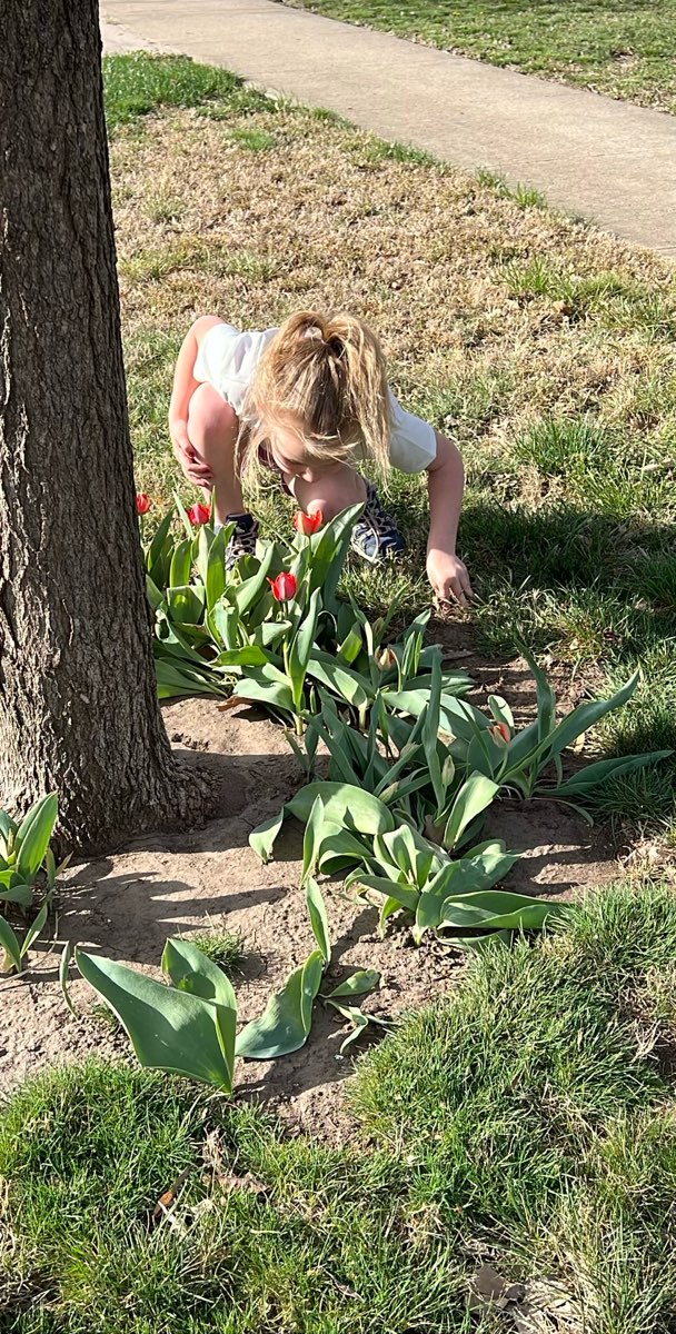 Lindsborg Scavenger Hunt scavenger hunt photos