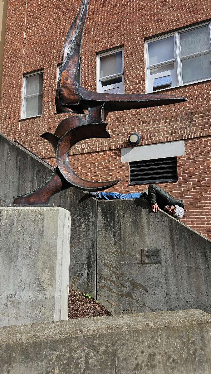 Zdjęcia ze Scavenger Hunt w Williamstown w stanie Massachusetts