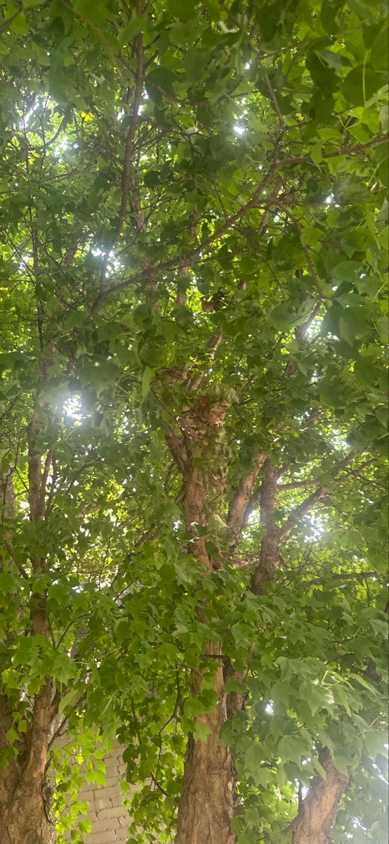 Griffin Scavenger Hunt scavenger hunt photos